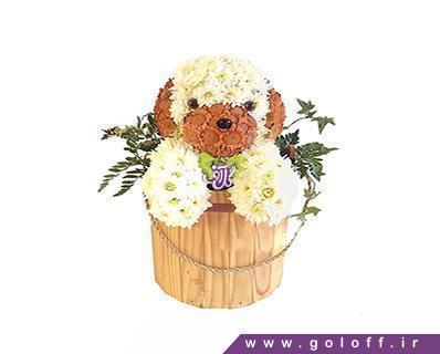 فروش گل اینترنتی - گل تولد نوزاد آیانو - Flower Toy | گل آف
